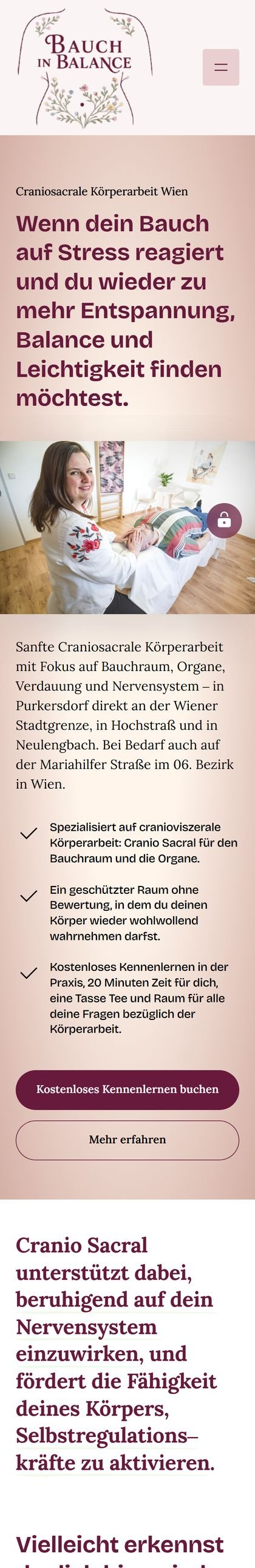 Dieselbe Website auf einem Handy