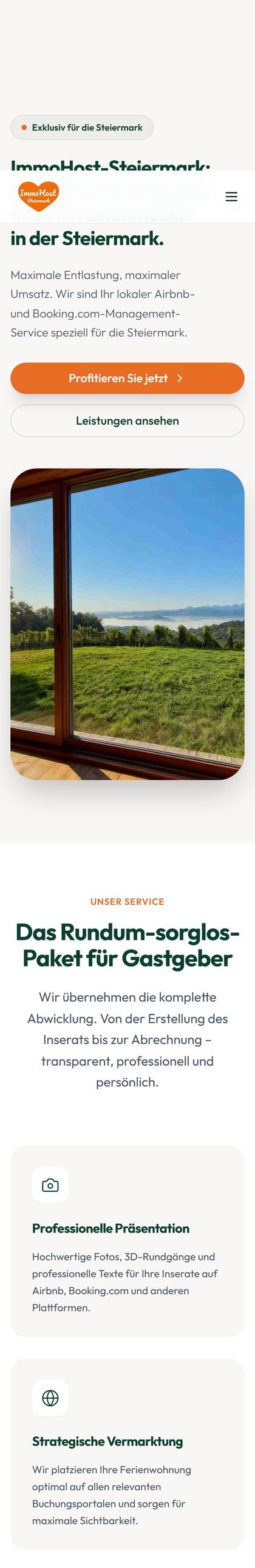 Dieselbe Website auf einem Handy