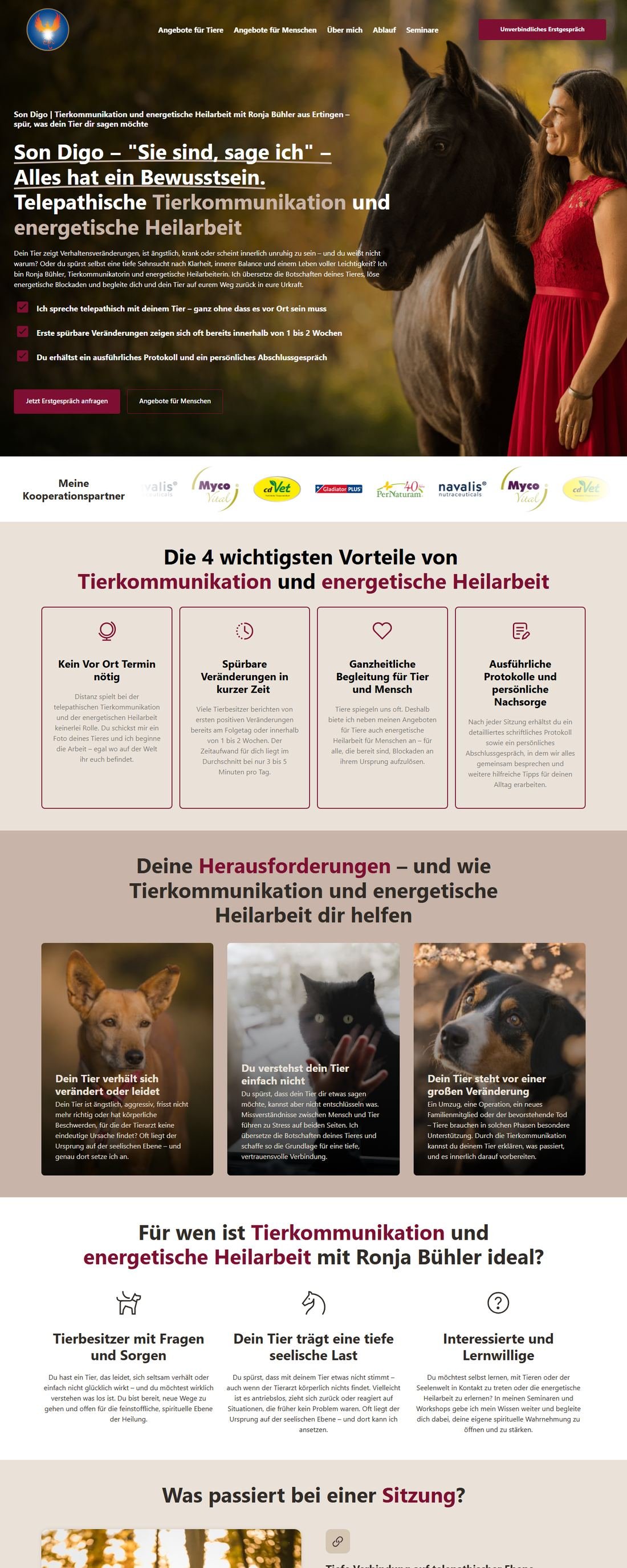 Eine von mir gebaute Website auf einem Laptop-Bildschirm