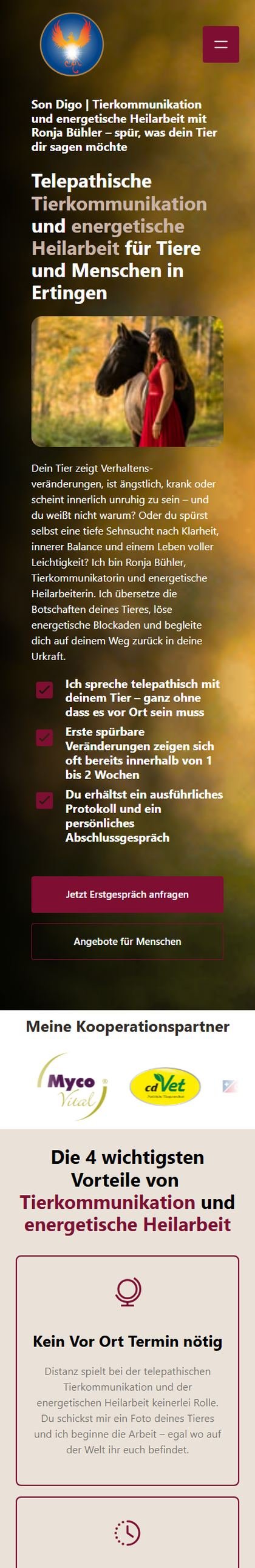 Dieselbe Website auf einem Handy
