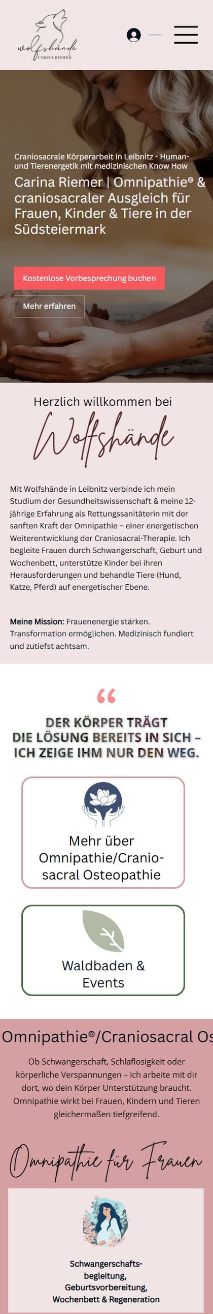 Dieselbe Website auf einem Handy